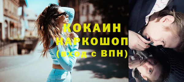 бошки Алексин