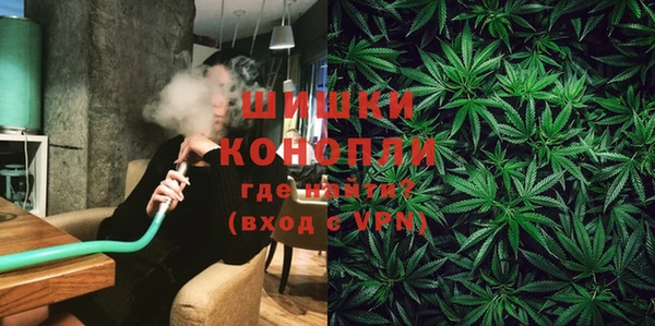 бошки Алексин